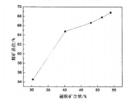 磁鐵礦含量與精礦品位關(guān)系圖