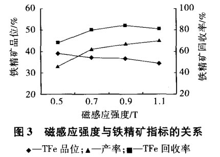 磁感應(yīng)強(qiáng)度與鐵精礦指標(biāo)的關(guān)系